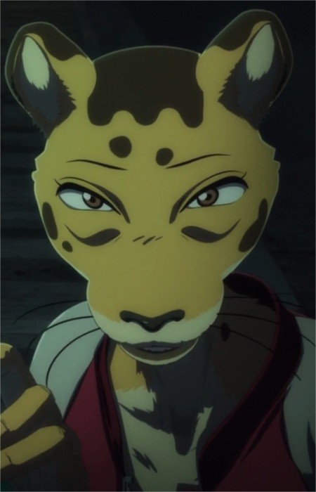 Leopard