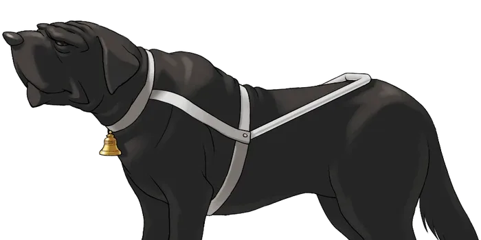 Helmut