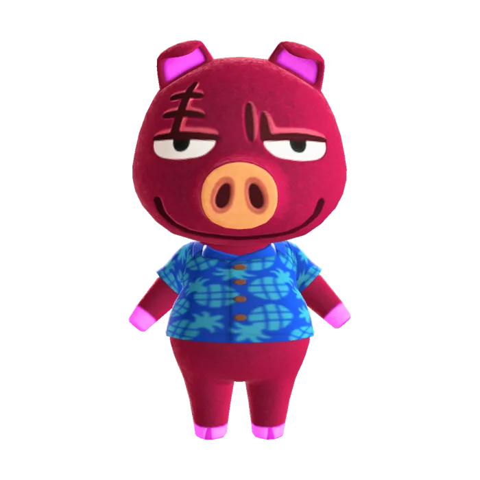 Rasher