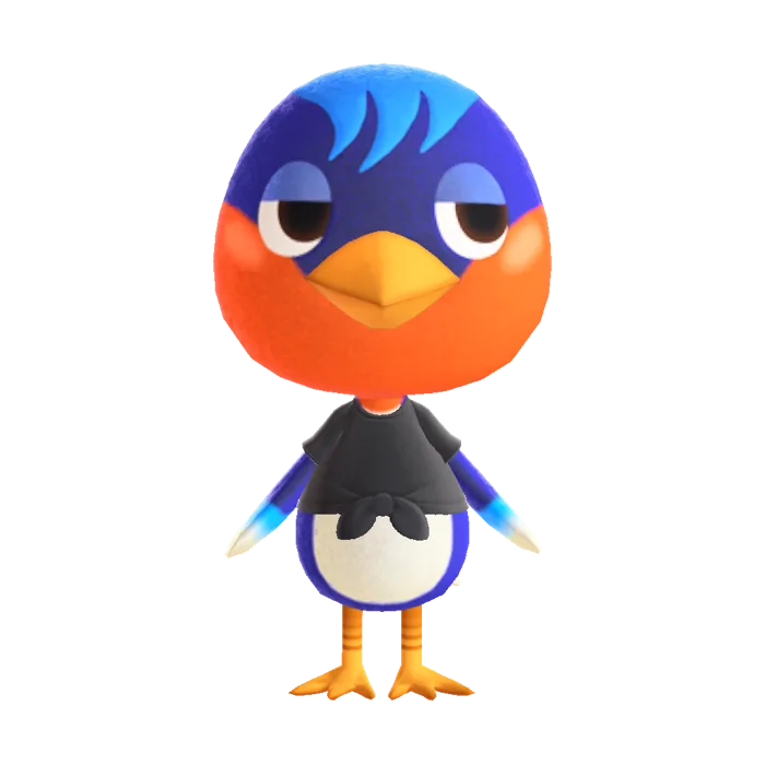 Robin