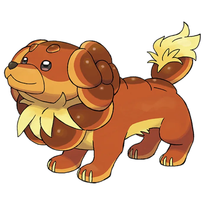 Dachsbun
