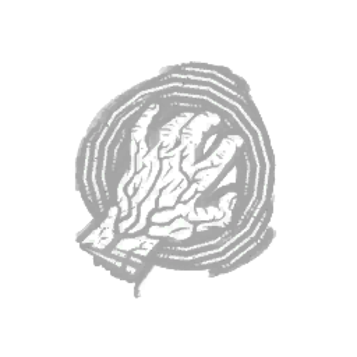Septic Touch