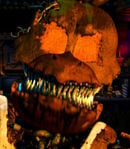 Jack O Chica