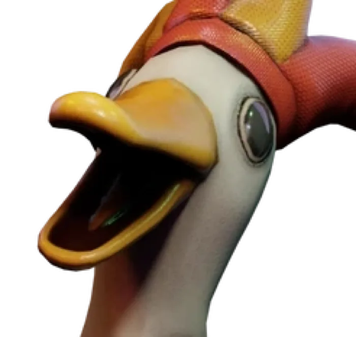 Juggling Duck
