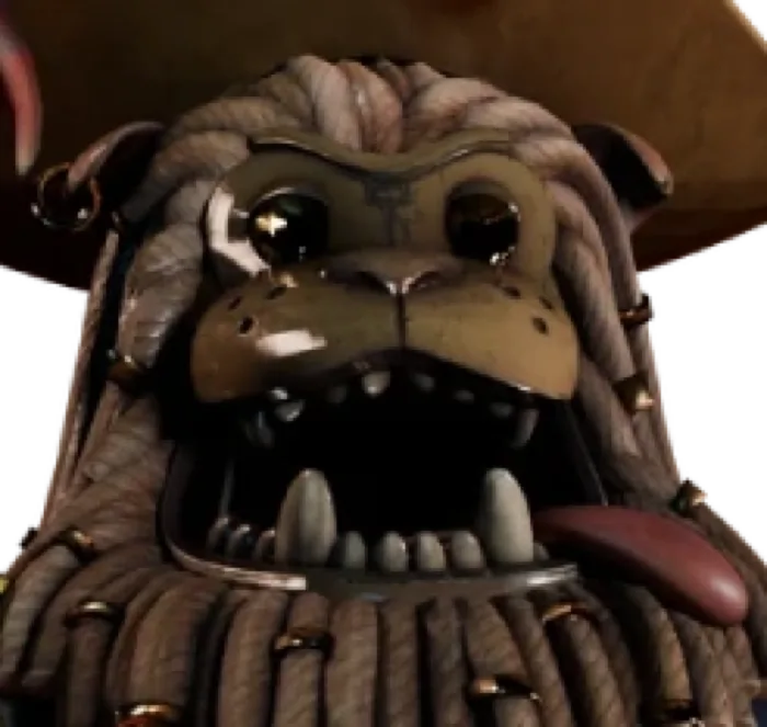 Pirate Captain