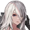 A2