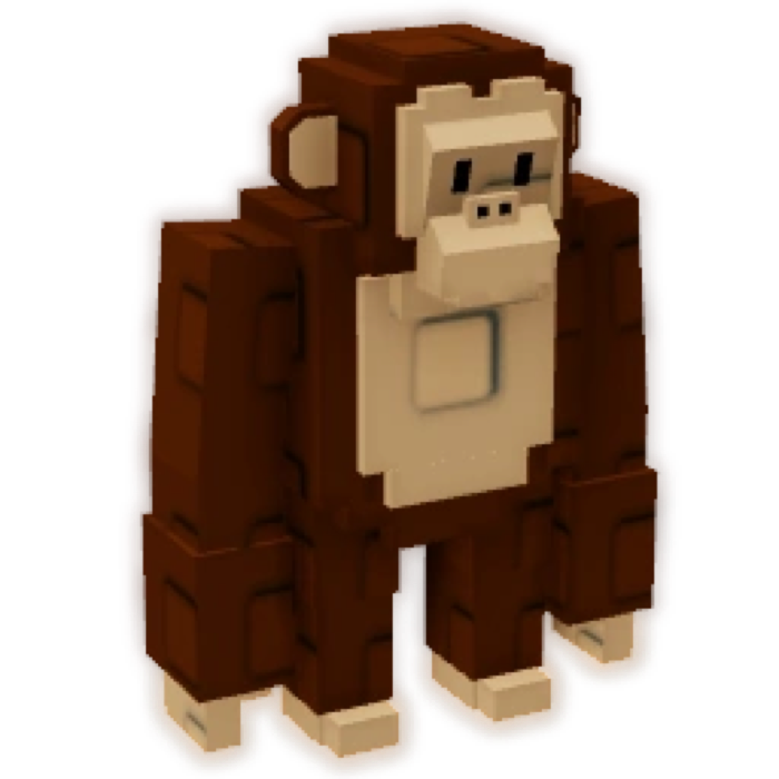 Chimpanzee