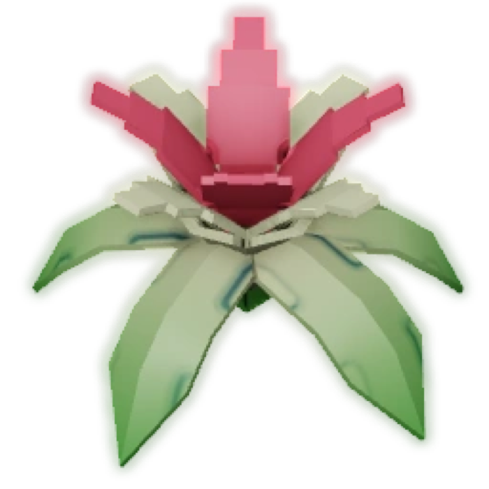 Banana Orchid
