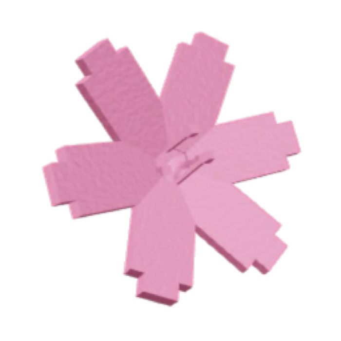 Cherry Blossom