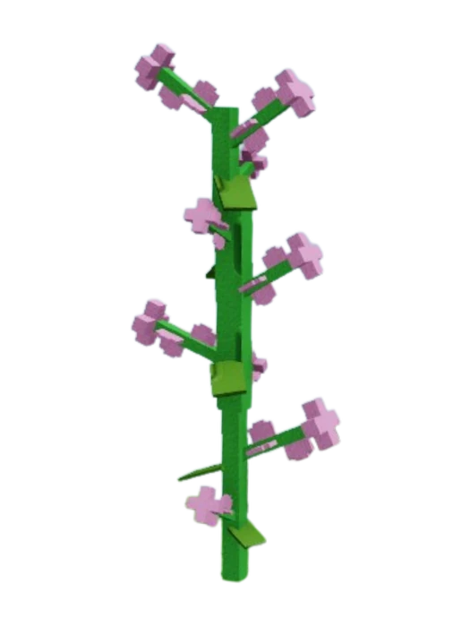 Lilac