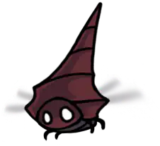 Conchfly