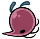 Spinebeak Kai