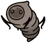 Squirrm