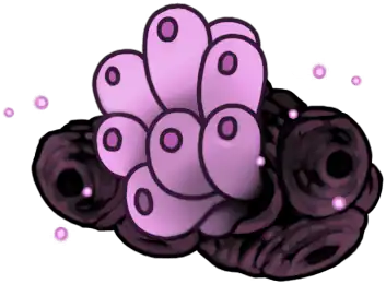 Voltvyrm