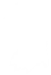 Wraith
