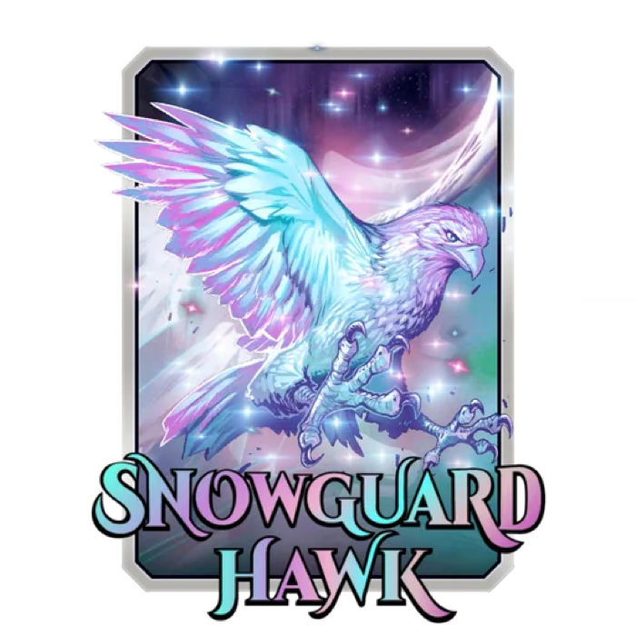 Snowguard Hawk