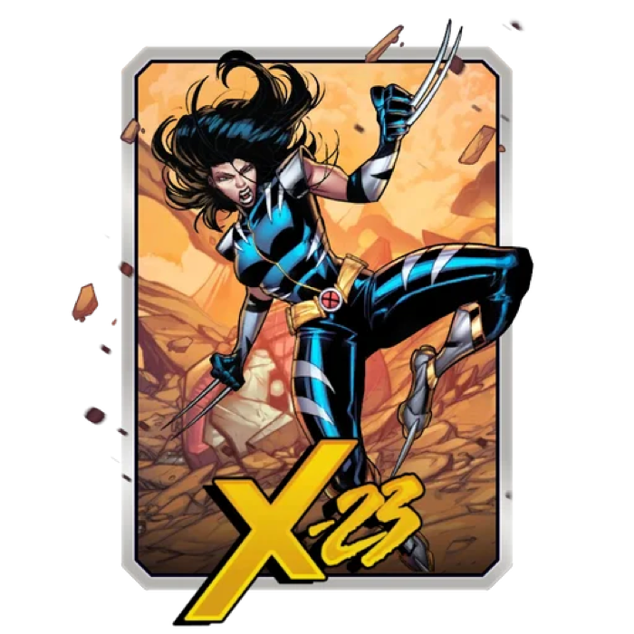 X 23