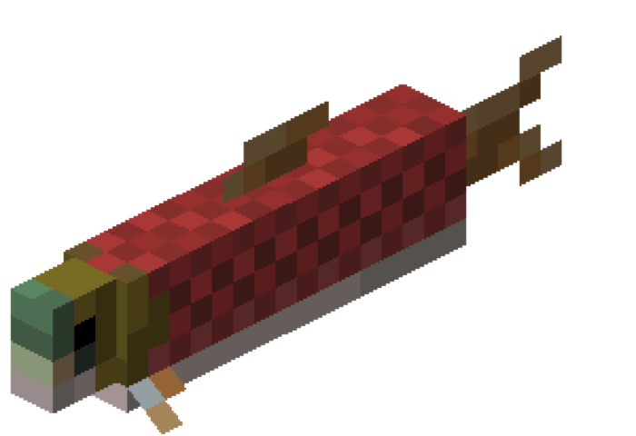 Salmon