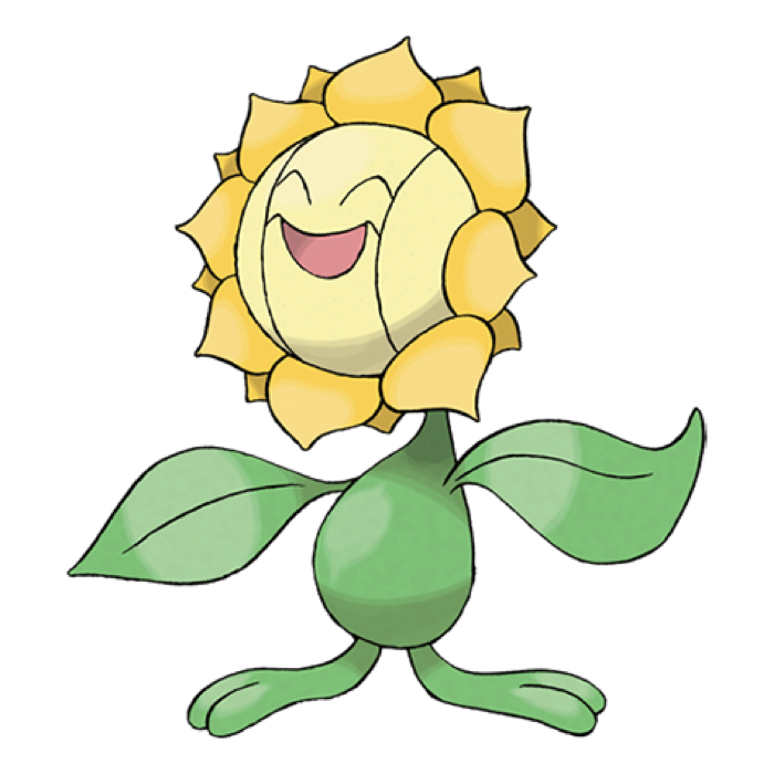 Sunflora