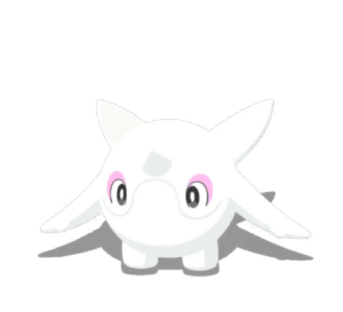 Cetoddle