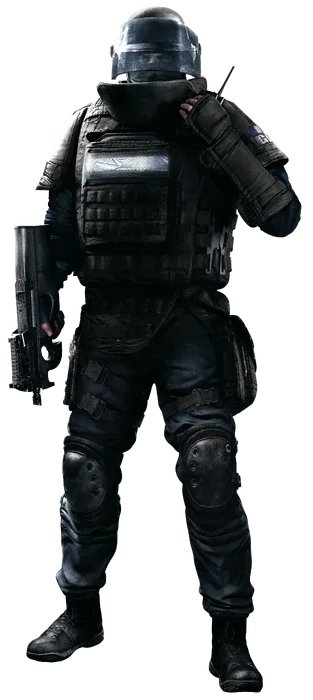 Rook