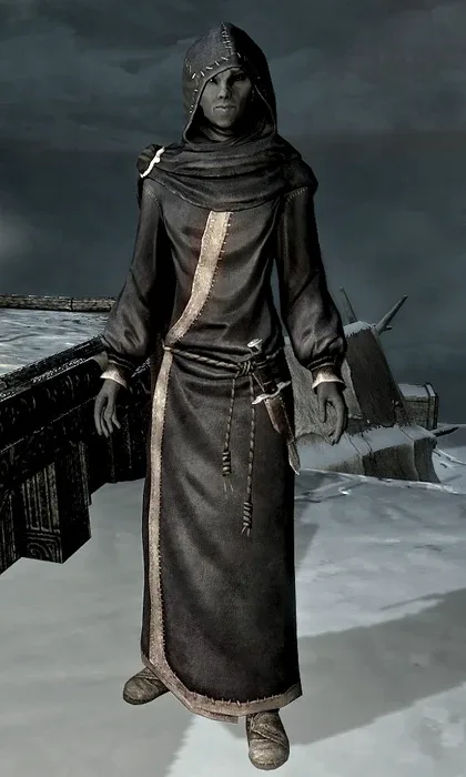 Aranea Ienith