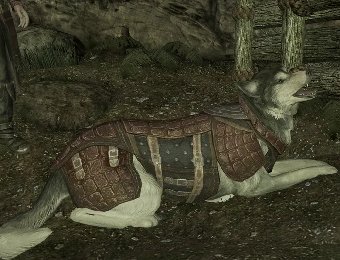 Bran