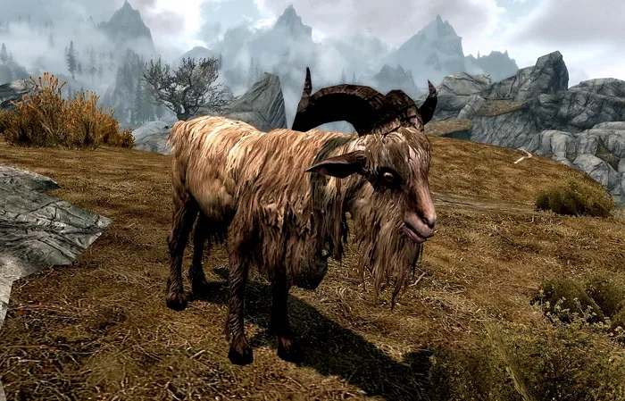 Gleda The Goat