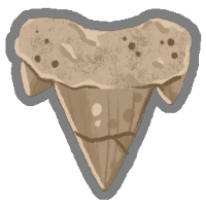 Archaic Tooth