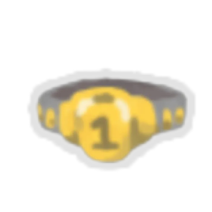Champion Belt