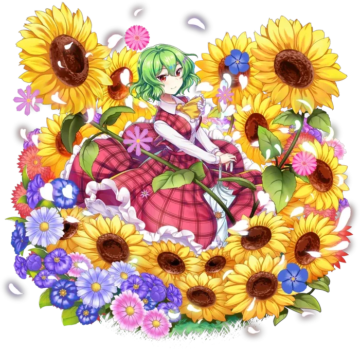 Yuuka Kazami