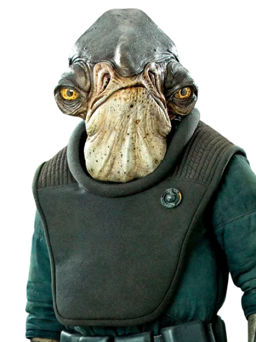 Raddus