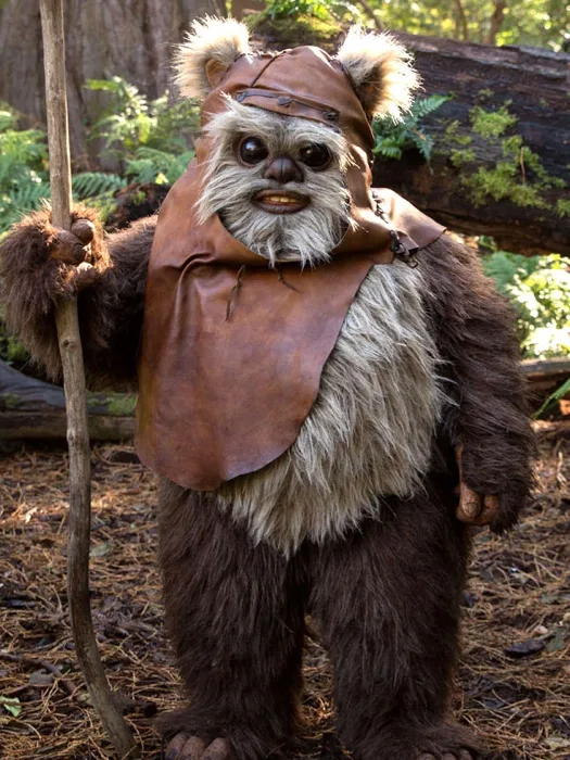 Wicket Wystri Warrick