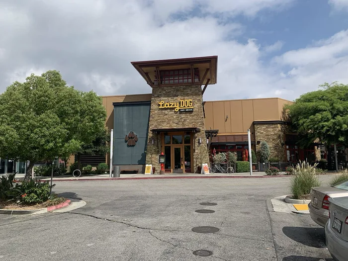 Lazy Dog Restaurant Bar