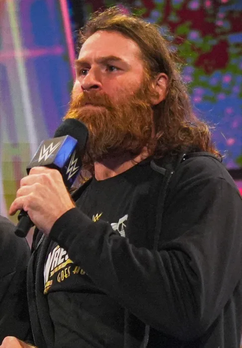 Sami Zayn