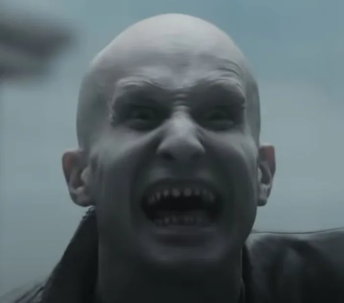 Flesh Phantom