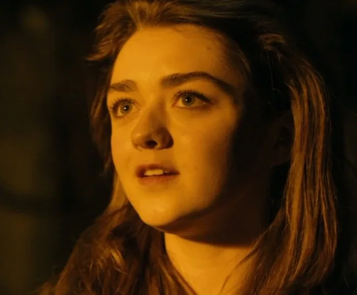 Ashildr