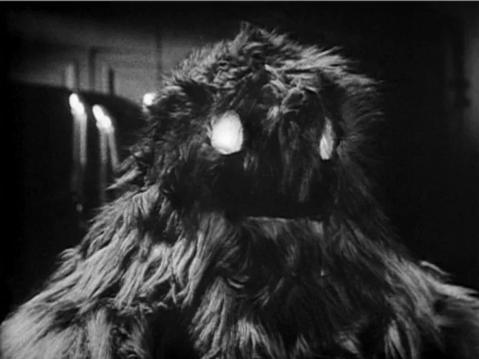 Yeti