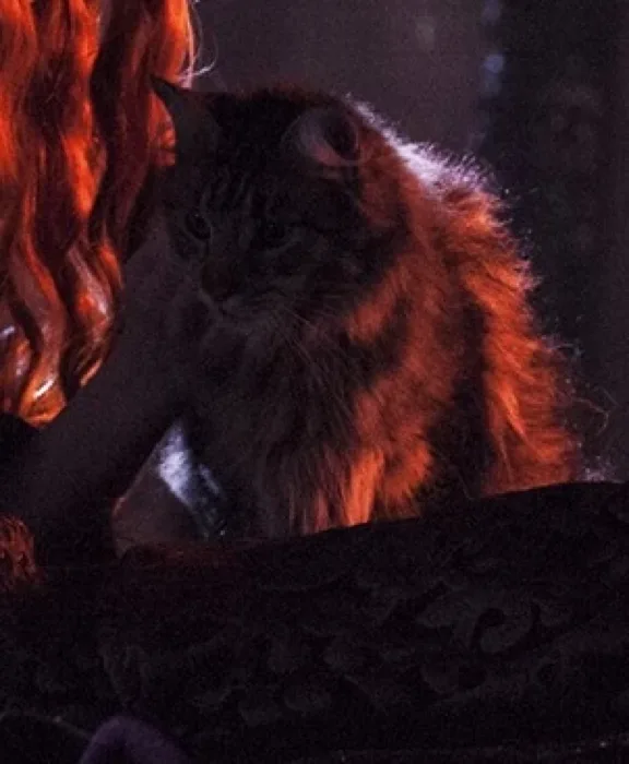 Ser Pounce