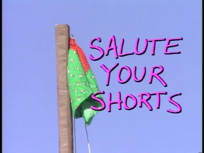 Salute Your Shorts