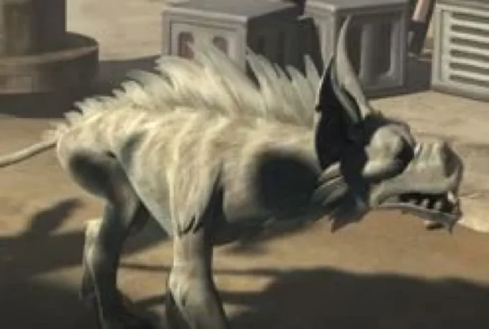 Marrok Anooba