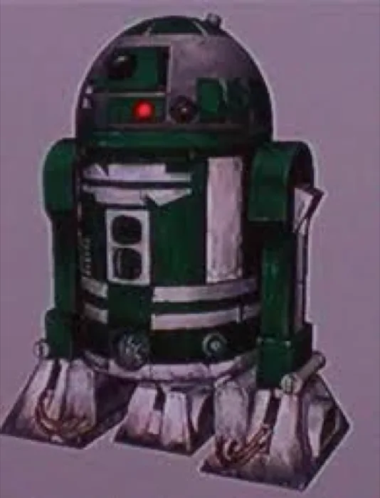 R3 D5