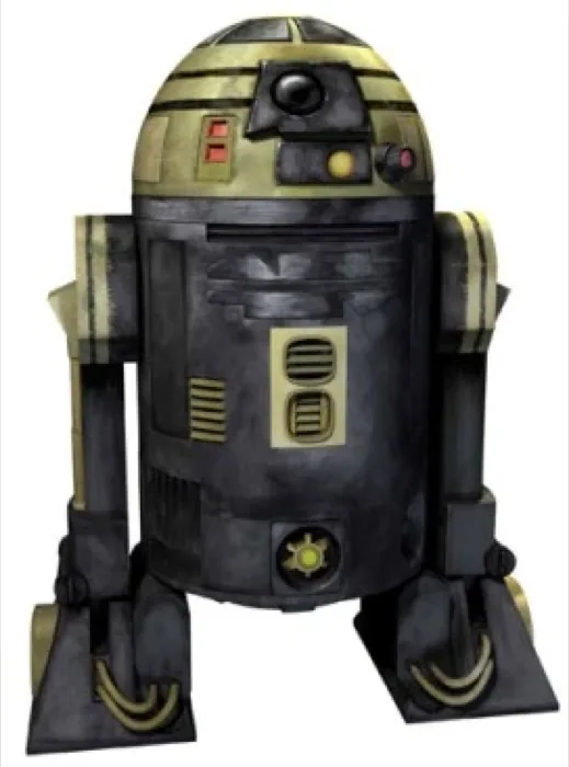 R3 S6