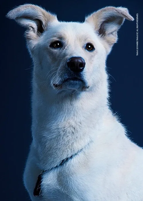 Krypto